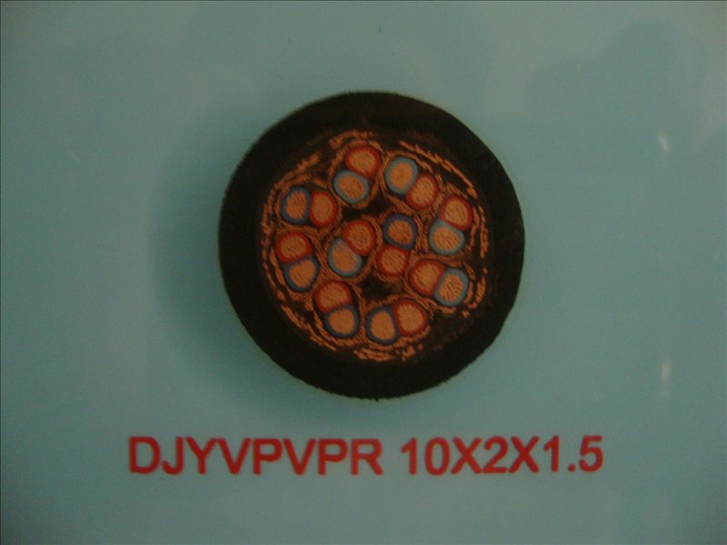 DJYVPVPR 10*2*1.5計算機(jī)屏蔽軟電纜